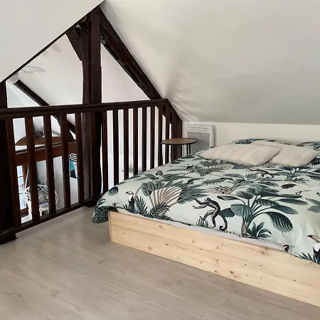 Le Sublime Urbain IV En Plein Coeur De Troyes Apartment Troyes