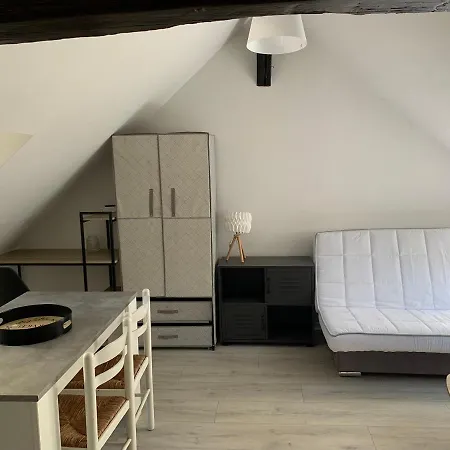 Le Sublime Urbain IV En Plein Coeur De Troyes Apartment Troyes